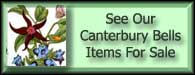 Canterbury Bells - Redstar Campanula Medium For Sale