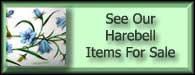 Campanula Rotundifolia Harebell For Sale