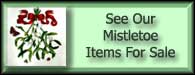Viscum Album Mistletoe For Sale