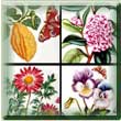 Portmeirion Botanic Garden Motif List