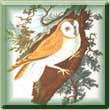 Portmeirion Birds Of Britain