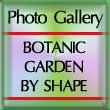 Flower Photo Gallery Director By Shape
