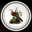 Portmeirion Birds Of Britain Green Band Wall Plate TURTLE DOVE