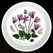Portmeirion Botanic Garden Pin Dish CYCLAMEN - Newer Version