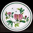 Portmeirion Kew Magnolia DINNER PLATE 10 Inch - Used