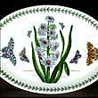 Portmeirion Botanic Garden Platter Oval 11 Inch HYACINTH - New!