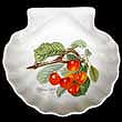 Portmeirion Pomona Shell Dish BIGGERRAUX CHERRY