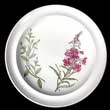 Portmeirion Queens Hidden Garden Plate B And B PINK PFLOX