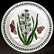 Portmeirion Botanic Garden Plate Salad HYACINTH Original Version