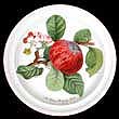 Portmeirion Pomona Plate B And B HOARY MORNING APPLE