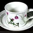 Portmeirion Queens Hidden Garden Cup And Saucer THISTLE