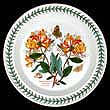 Portmeirion Botanic Garden Dinner Plate DARK HONEYSUCKLE 1