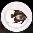 Portmeirion Kingdom Of The Sea DINNER PLATE Angel Fish