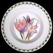 Portmeirion Ladies Flower Garden SWEETS DISH 6 Inch New