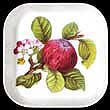 Portmeirion Pomona Tray 5 Inch Square HOARY MORNING APPLE