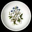 Portmeirion Low Pasta Bowl PERVINEA Large 13 Inch