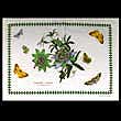Portmeirion Botanic Garden Tablemat 18 X 13 Cloth PASSION FLOWER