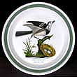 Portmeirion Birds Of Britain Green Band Plate Salad WAGTAIL #1