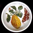 Portmeirion Botanic Garden Fruit Bowl 5.5 Inch CITRON