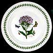 Portmeirion Botanic Garden Charger SWEET WILLIAM 12 Inch NEW