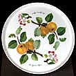 Portmeirion Pomona Tray Melamine 12 Inch PIPPIN APPLE
