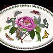 Portmeirion Botanic Garden Platter Oval 15 Inch SHRUBBY PEONY
