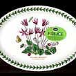 Portmeirion Botanic Garden Platter Oval 9 Inch CYCLAMEN