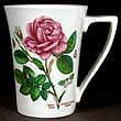 Portmeirion Botanic Garden Mandarin Mug ROYAL HIGHNESS ROSE