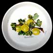 Portmeirion Pomona Pin Dish QUEEN Of SHEBA GOOSEBERRY Rare