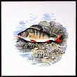 Portmeirion Compleat Angler Wall Tile PERCH