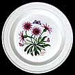 Portmeirion Botanic Garden Dinner Plate TREASURE FLOWER