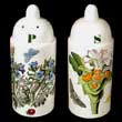 Portmeirion Botanic Garden Salt And Pepper Pair VERY RARE!