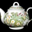 Portmeirion National Trust Teapot 2 Pint GARDEN HERBS