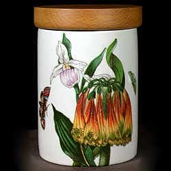 Portmeirion Botanic Garden Spice Jar ORANGE CACTUS