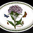 Portmeirion Botanic Garden Platter Oval 11 Inch SWEET WILLIAM