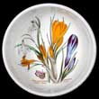 Portmeirion Botanic Garden Fruit Bowl 5.5 Inch DARK SNOWDROP