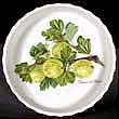 Portmeirion Pomona Individual Flan Dish 6 Inch QUEEN OF SHEBA