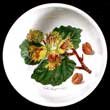 Portmeirion Pomona Fruit Bowl 5.5 Inch HAZEL NUT - Rare!