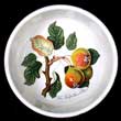 Portmeirion Pomona Fruit Bowl 5.5 Inch TEINTON SQUASH PEAR