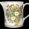 Portmeirion National Trust Large Cream Jug GARDEN HERBS