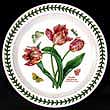 Portmeirion Botanic Garden Salad Plate PINK PARROT TULIP