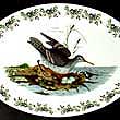 Portmeirion Birds Of Britain Platter 15 Inch COMMON SNIPE