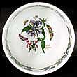 Portmeirion Botanic Garden Salad Bowl 9 Inch WOODY NIGHTSHADE