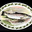Portmeirion Compleat Angler Oval Platter 11 Inch GRT LAKE TROUT