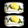 Portmeirion Lemon Grove NAPKIN RING PAIR Set Hand Painted