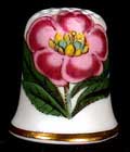 Portmeirion Rhododendron Botanic Garden Thimble