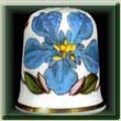 Portmeirion Club Thimbles