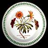 Very Rare 1st Version Of African Daisy Dinner Plate