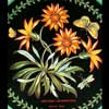 Close View - African Daisy Black Placemat