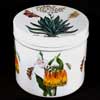 Aloe Ceramic Lidded Canister - Orange Cactus Bottom